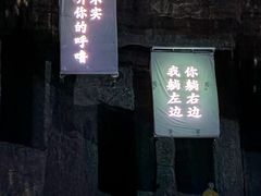 -荷兰花海