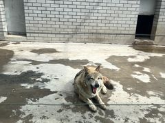 -银川动物园