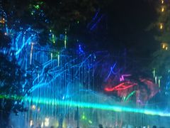 -洋湖国家湿地公园