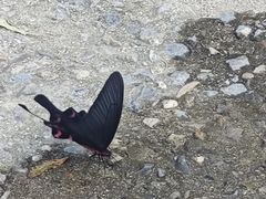 -沕沕水生态风景区