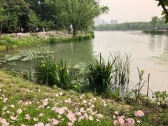 -昆山城市生态森林公园