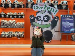 -熊猫邮局(少城店)