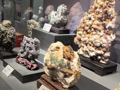 -湖南省地质博物馆