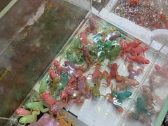 -双季花艺园艺市场(浦东店)
