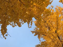 -两江幸福广场