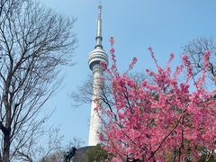 -龟山风景区-龟山电视塔