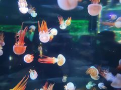 -杭州海底世界