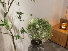 -喜茶(北京财富购物中心店)