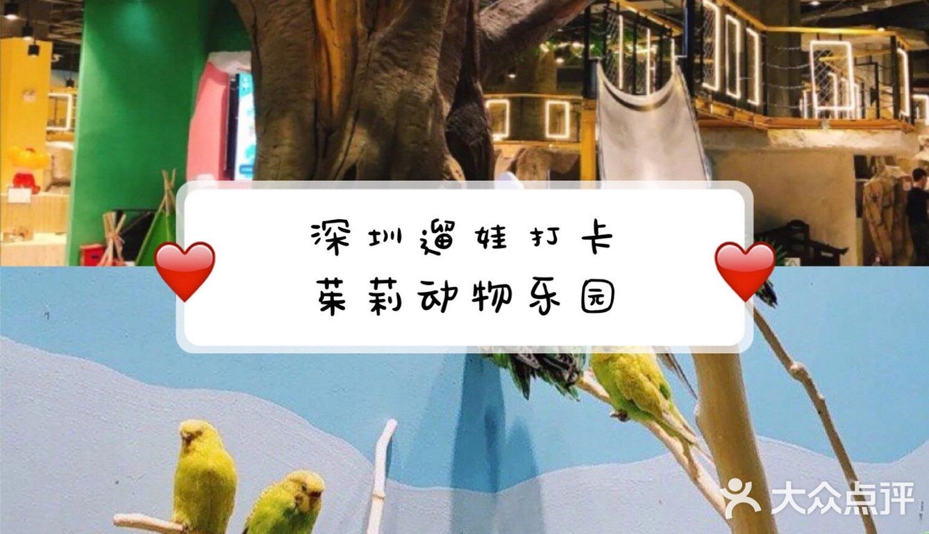 深圳春游一定要打卡的好去处——茱莉动物乐园