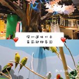深圳春游一定要打卡的好去处——茱莉动物乐园