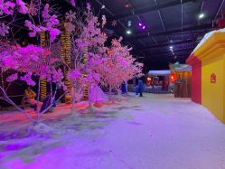 -圣名游乐城冰雪大世界