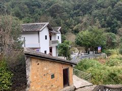 -雁南飞茶田景区