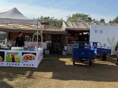 -光明小镇欢乐田园