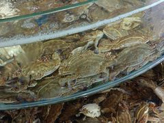 -蓝珊甄选海鲜自助·火锅大排档(近阿那亚店)
