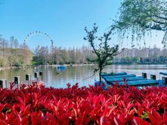 -上海野生动物园