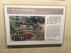 -中国茶叶博物馆(双峰馆区)