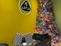 -莲花跑车(国贸商城店)