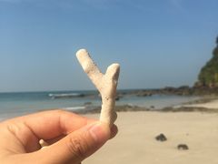 -石螺口海滩