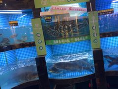 -千岛湖小鱼儿·淳安匠心农家菜