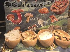 -季季山•云南野生菌火锅(上海首店)