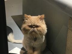 -小时光咖啡馆(开森度假森林店)