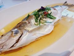 -松鹤楼·非遗·苏帮菜(融科店)