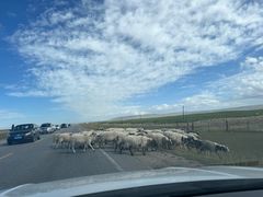 -青海湖国家重点风景名胜区
