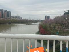 -广东花都湖国家湿地公园