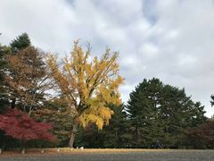-京都御所