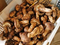 -双喜农庄·菌香园(安居家园店)