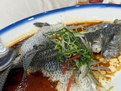 -尖沙咀大酒楼(大沥竹基南店·粤菜海鲜·宴会聚餐)