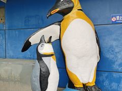 -太平洋海底世界