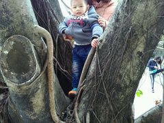 -人民公园(罗湖区)