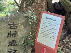 -绮园景区