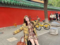 -北京国子监胡同