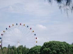 -上海野生动物园