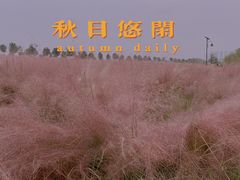 -花博汇(知音花月夜)