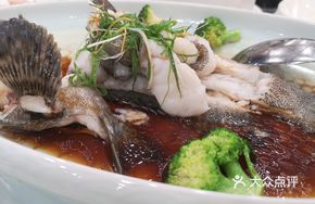 Signature功夫 Tiger Grouper