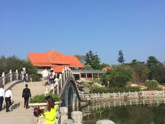 -大屏嶂森林公园