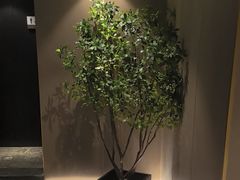 -华夏良子·足道SPA艾灸(王府井店)