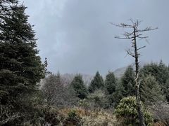 -硗碛藏寨·神木垒景区