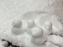 -广州热雪奇迹