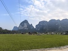 -明仕田园