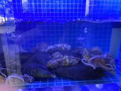 -長壹旋转烤吧 农家鸡火锅