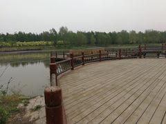 -东郊湿地公园