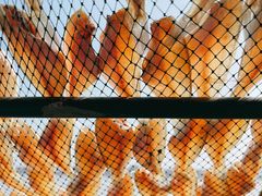 -南沙十九涌渔人码头-南门