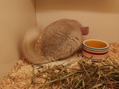 -龙猫仔乐园(惠福东路店)