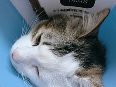-贝来恩24H动物医院·转诊中心(稻香路店)