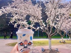 -Beans Solo豆号咖啡(百家湖花园店)