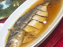 清蒸鲥鱼-金时代顺风大酒店(协泰店)